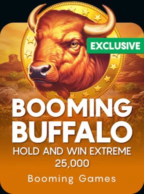 Winna play casino games visual